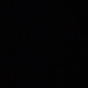 Meet your Posher, Rodney